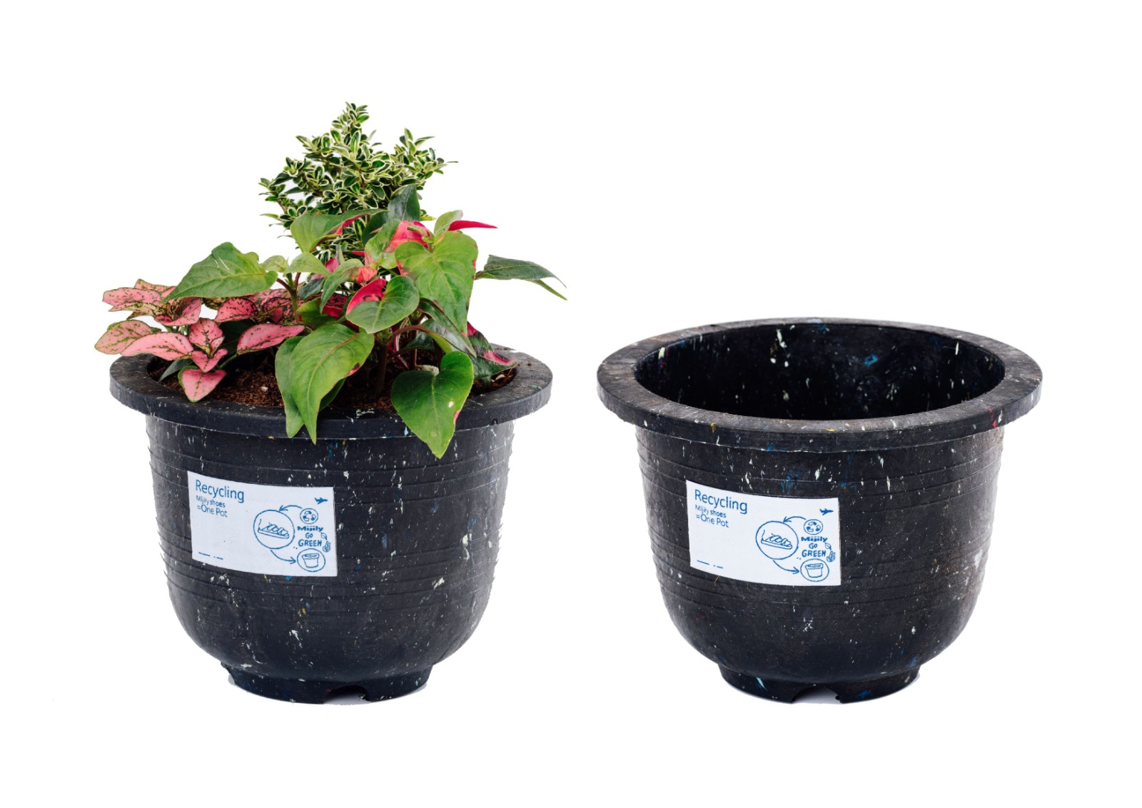 1730772636771796.jpg